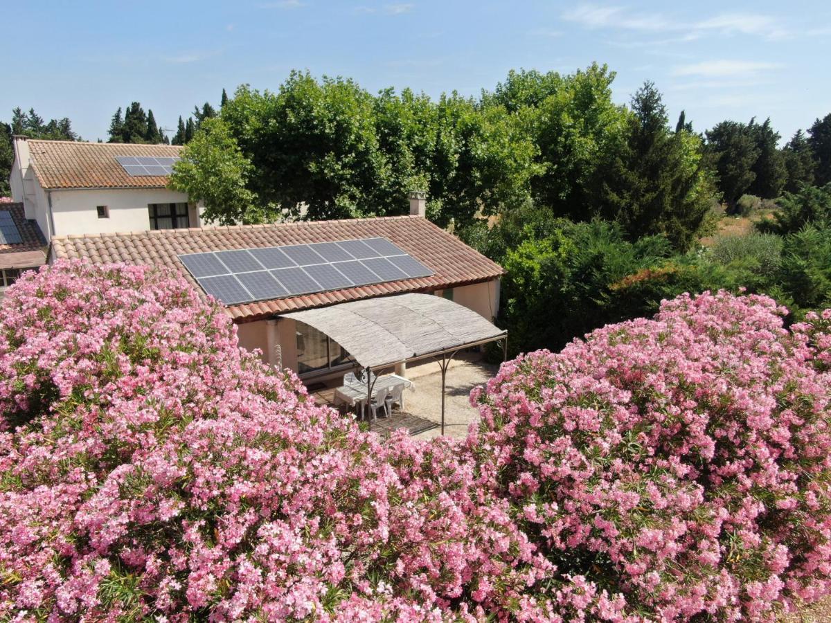 Les Gites Du Mas Canillac ชาโตเรอนาร์ ภายนอก รูปภาพ